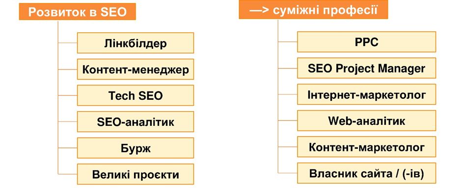 Розвиток в SEO