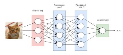 Схематичне зображення нейронної мережі